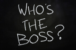 Whos the boss blog pic