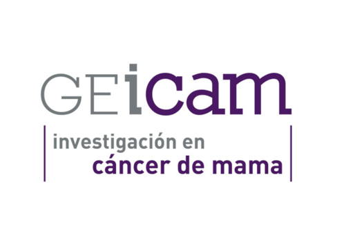 Geicam logo